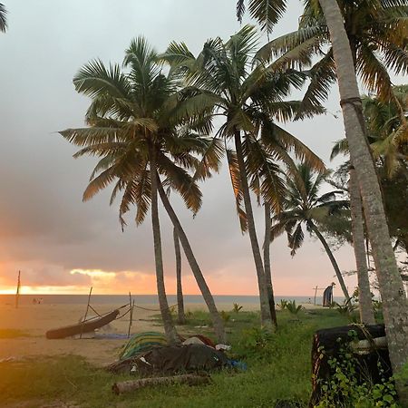 Shoreline Marari Beach Villa At Golden Beach Mararikulam Alappuzha Luaran gambar