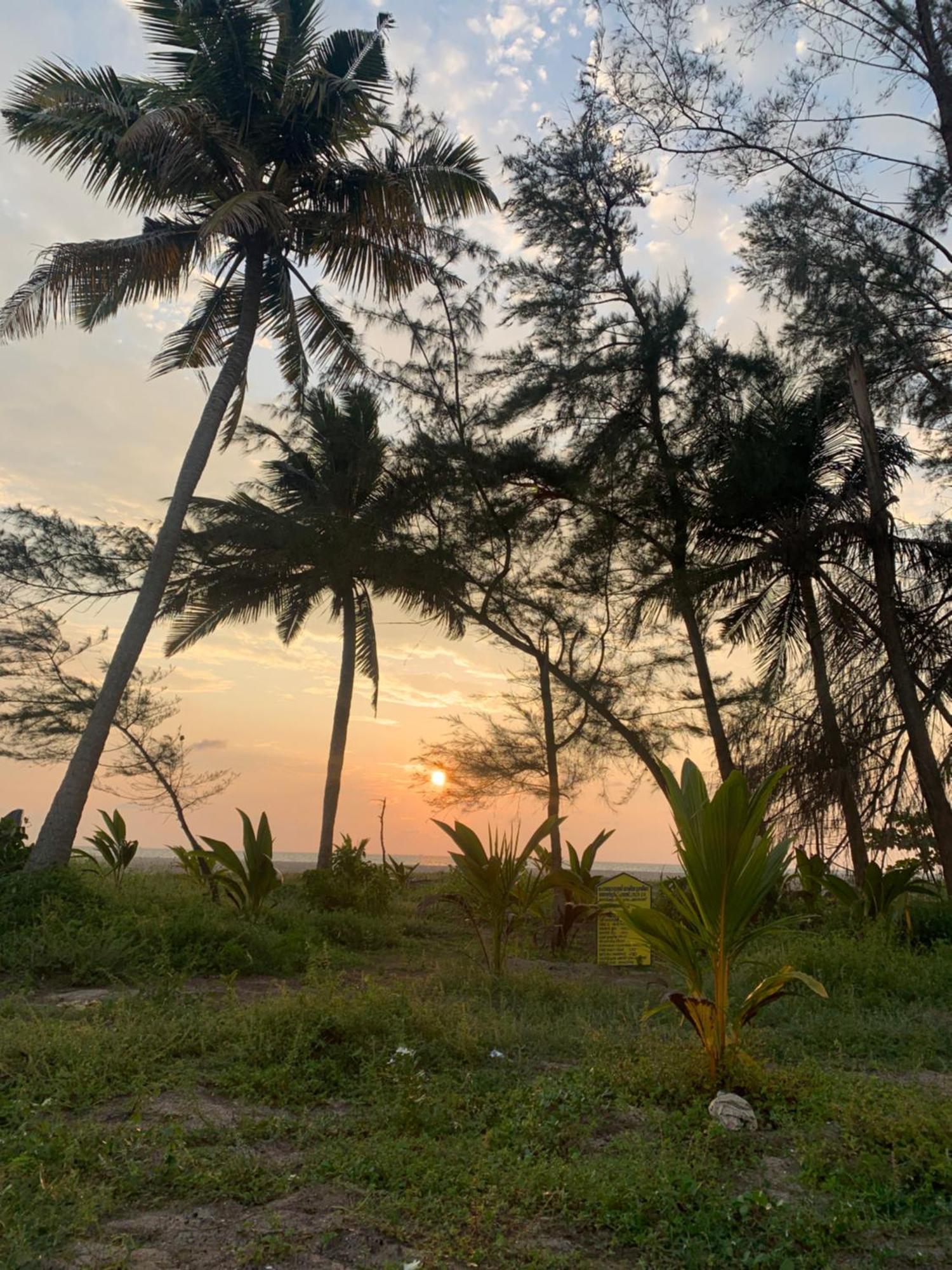 Shoreline Marari Beach Villa At Golden Beach Mararikulam Alappuzha Luaran gambar