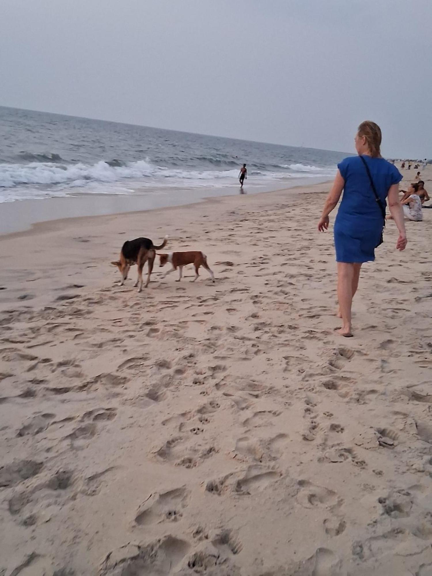 Shoreline Marari Beach Villa At Golden Beach Mararikulam Alappuzha Luaran gambar